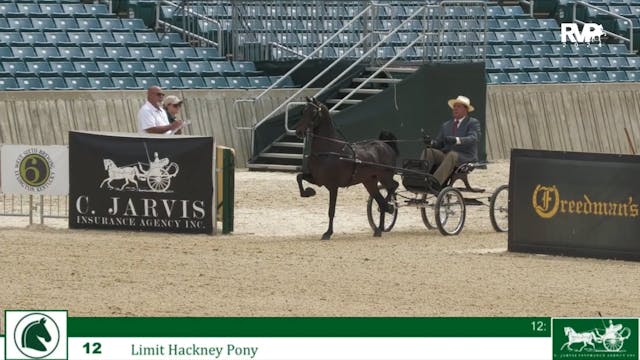 LJL24 - Class 12 - Limit Hackney Pony