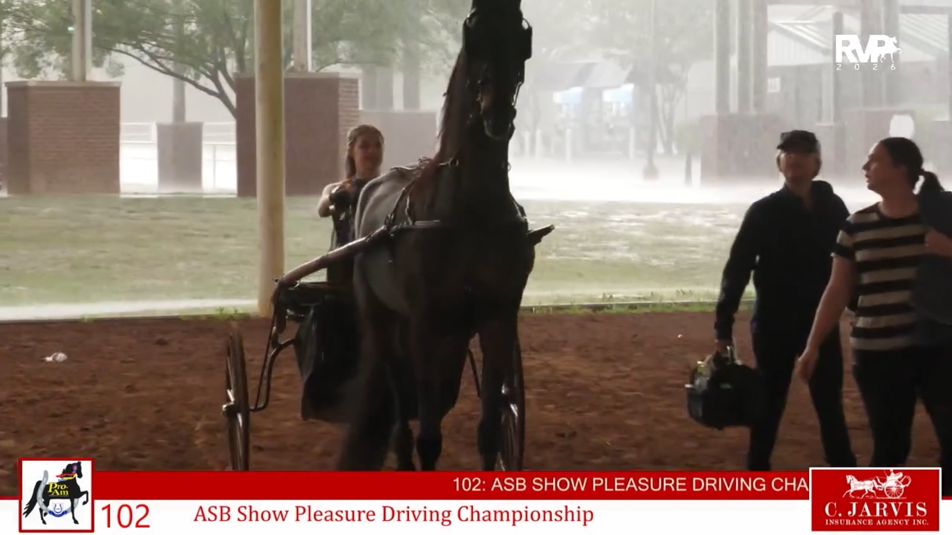 ProAm26 - Class 102 - ASB Show Pleasure Driving Championship