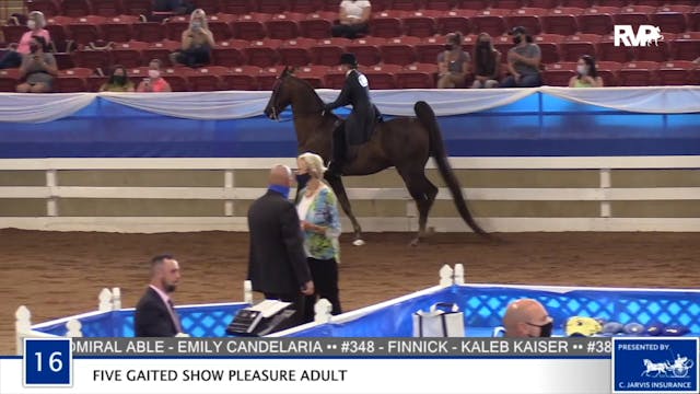 2020 BR - Class 16 Five Gaited Show P...