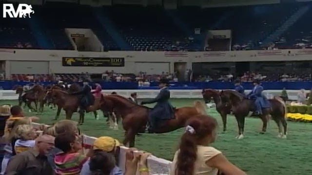 2003 WCHS Class 35 Three Gaited Pony ...