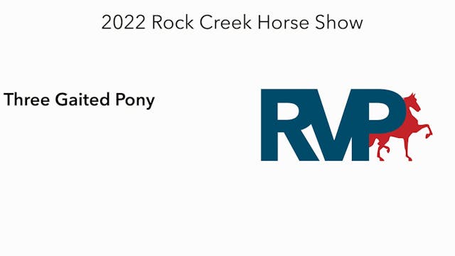 RC22 - Class 61 -  Three Gaited Pony