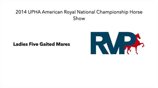 2014 KC - Class 21 Ladies Five Gaited...