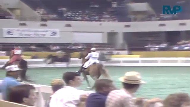 1987 WCHS Class 17 Five Gaited Pleasu...
