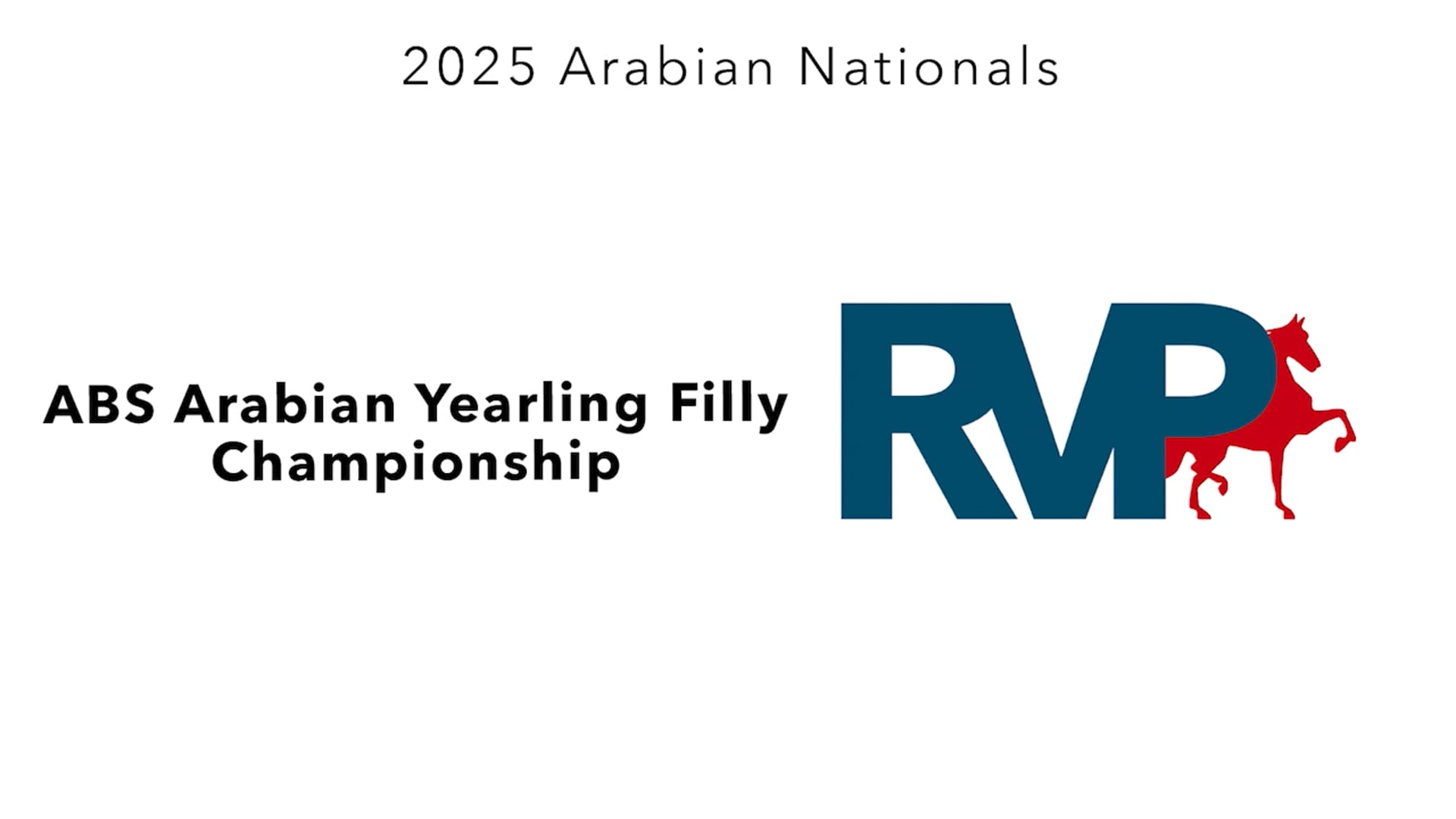 AN25 - Class 971 - ABS Arabian Filly Championship