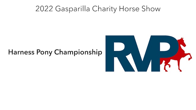 GASP22 - Class 146 - Harness Pony Championship