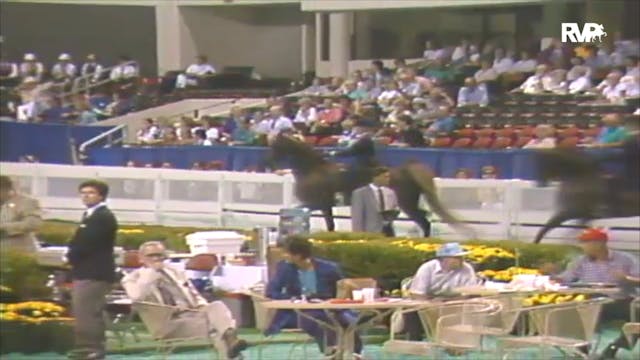 1992 WCHS Class 66 Junior Exhibitor F...