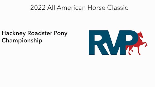 AAC22 - Class 159 -  Hackney Roadster...