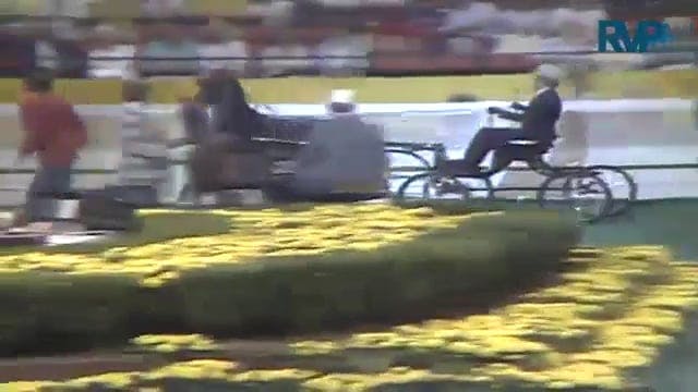1987 WCHS Class 2 AHHS Futurity 3 Yea...