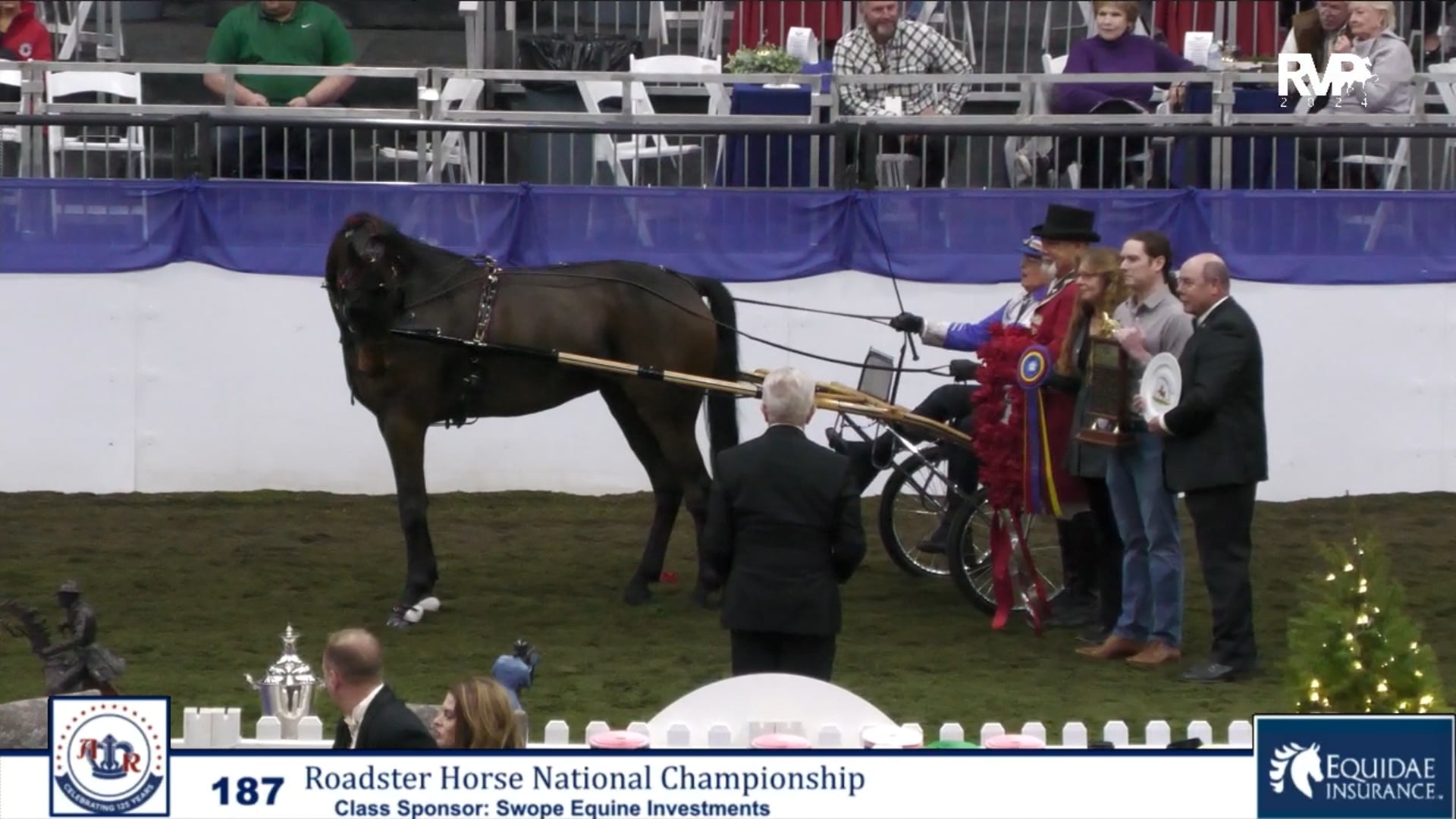 AR24 - Class 187 - Roadster Horse National Championship
