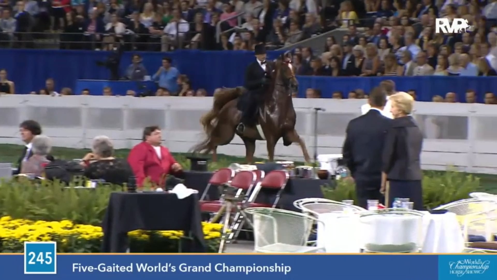 2015 WCHS - Class 245 Five Gaited World's Grand Championship