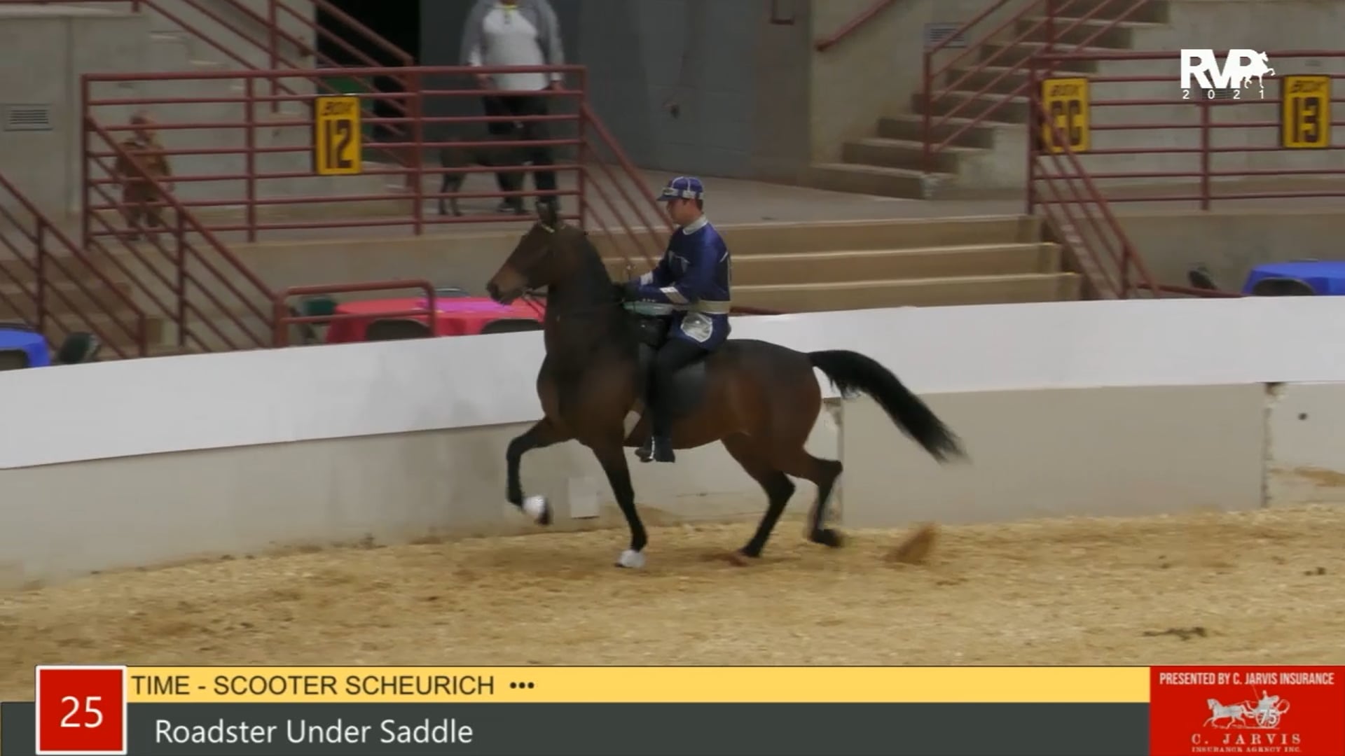 PA21 - Class 25 - Roadster Under Saddle