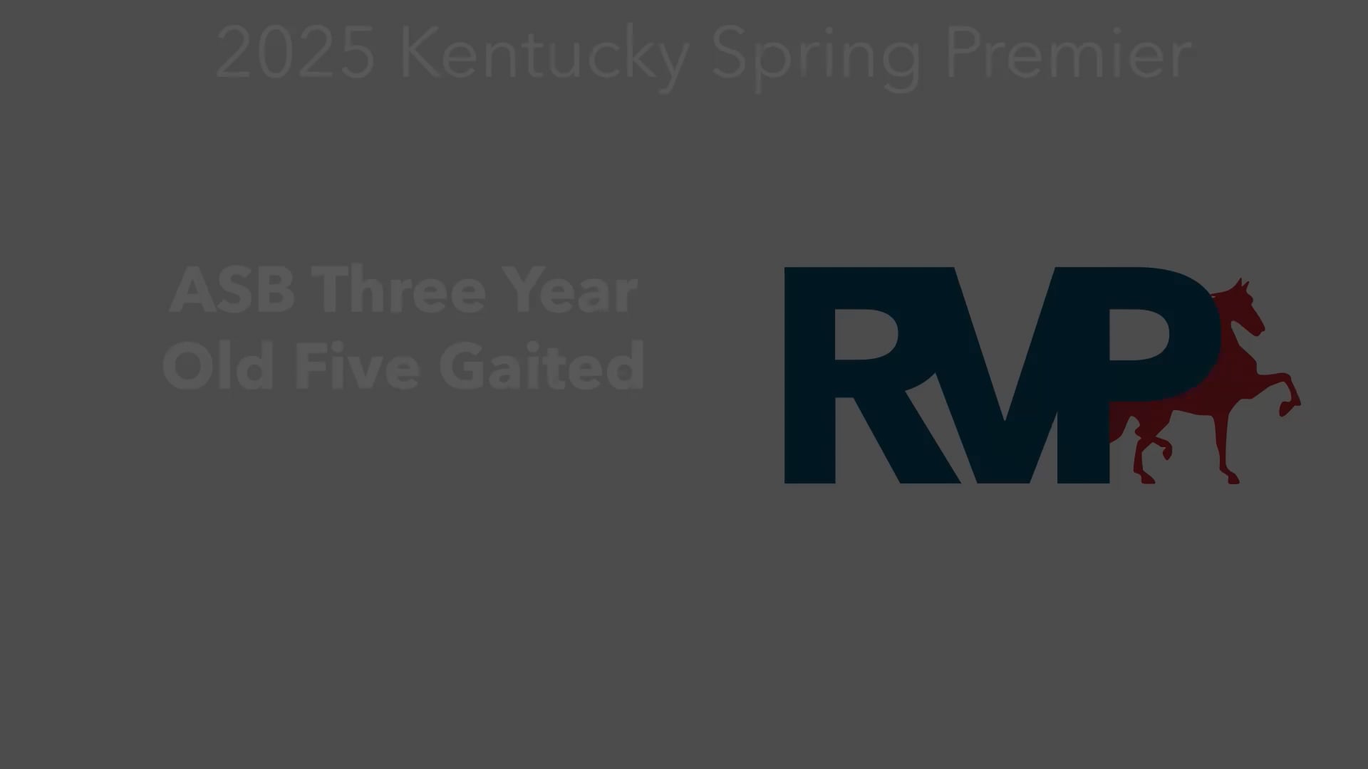 KYSP25 - Class 81 - ASB Three Year Old Five Gaited