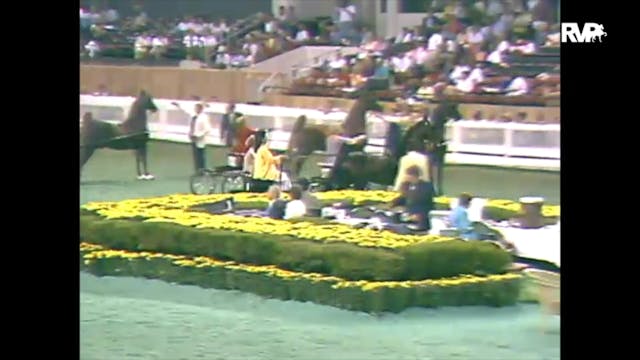 1988 WCHS Class 91 Amateur Fine Harness