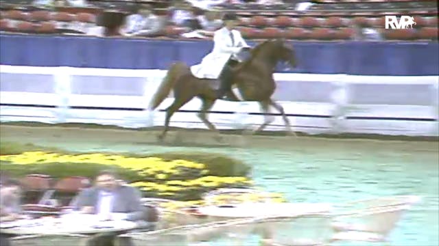 1991 WCHS Class 90 ASHA National Amat...