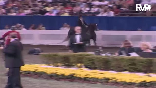 2003 WCHS Class 165 Five Gaited Pony ...