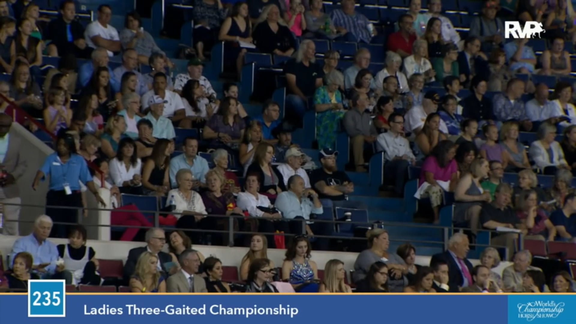 2015 WCHS - Class 235 Ladies Three Gaited Championship