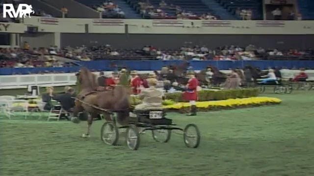 2003 WCHS Class 46 Amateur Ladies Fin...