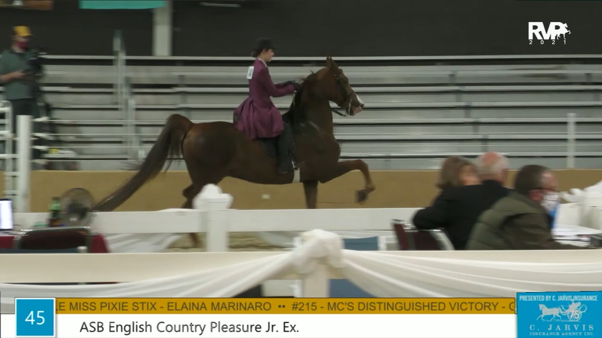 BS21 - Class 45 - ASB English Country Pleasure Junior Exhibitor