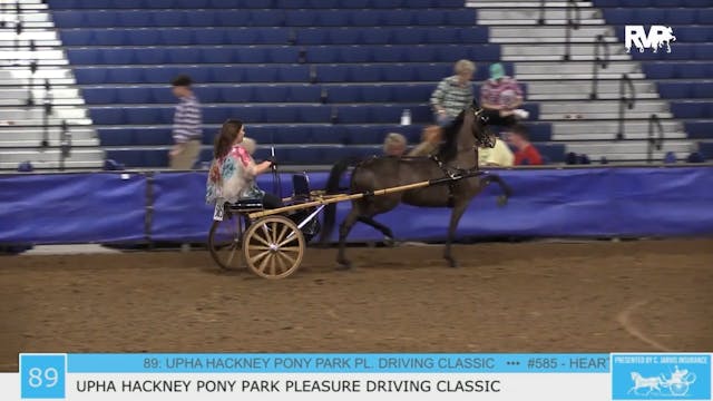 GASP23 - Class 89 - UPHA Hackney Pony...