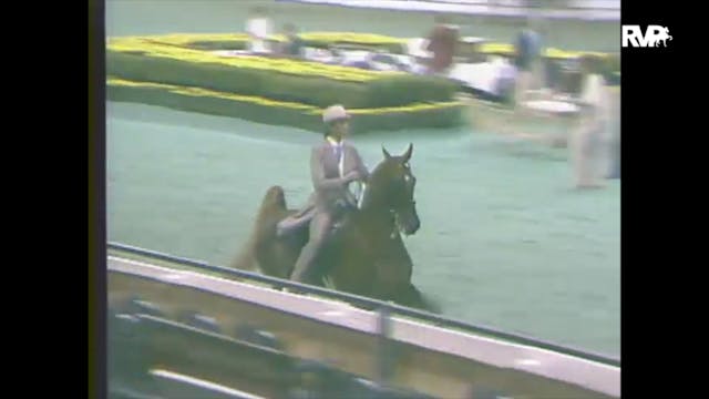 1988 WCHS Class 82 Equitation Kentuck...