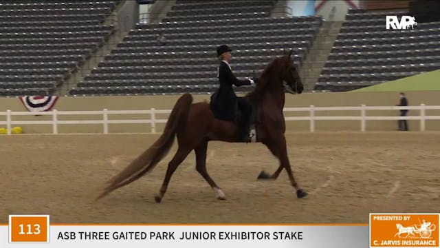 KFC 2020 - Class 113 ASB Three Gaited...