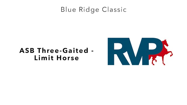 BR24 - Class 133 - ASB THree-Gaited -...