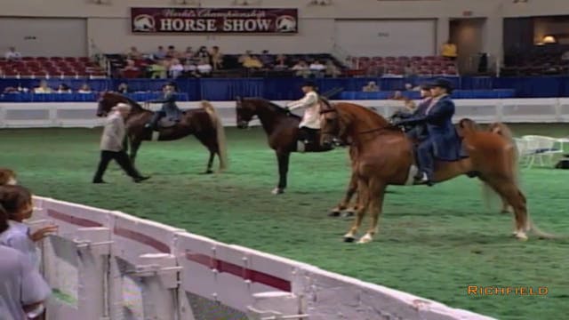 2002 WCHS Class 19 Three Gaited Rider...