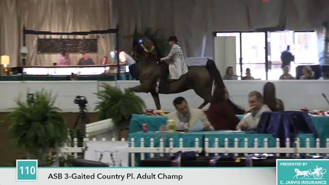 GASP17 - Get Crackin - Championship