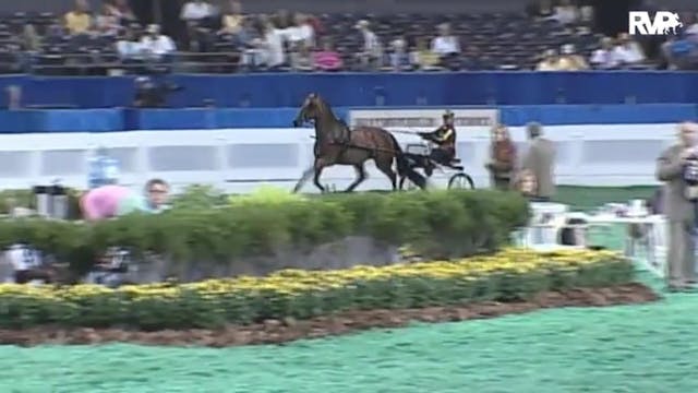 2010 World's Championship Horse Show ...
