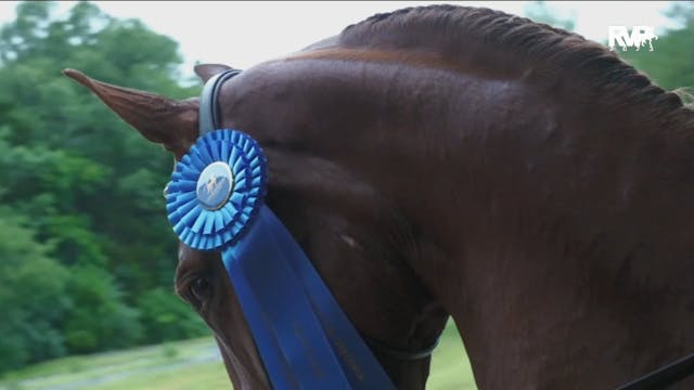 2023 Shenandoah Classic Horse - Frida...