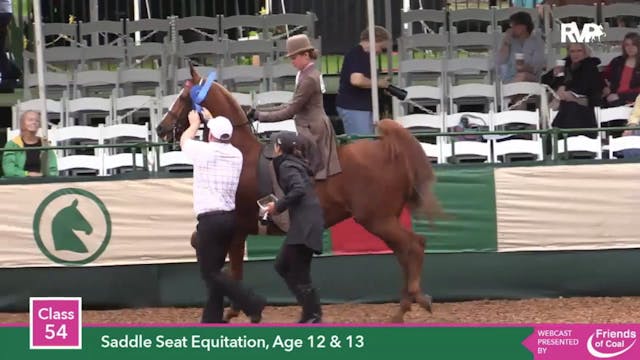 2015 LJL - Class 54 Saddle Seat Equit...