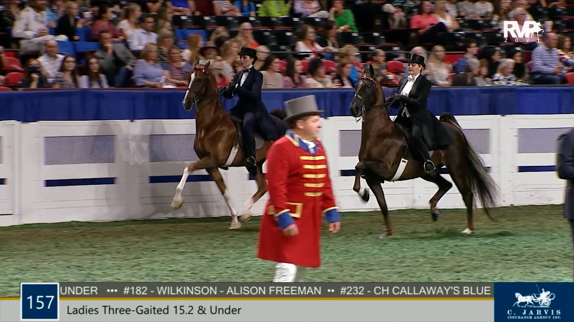WCHS21 - Class 157 - Ladies Three-Gaited 15.2 & Under