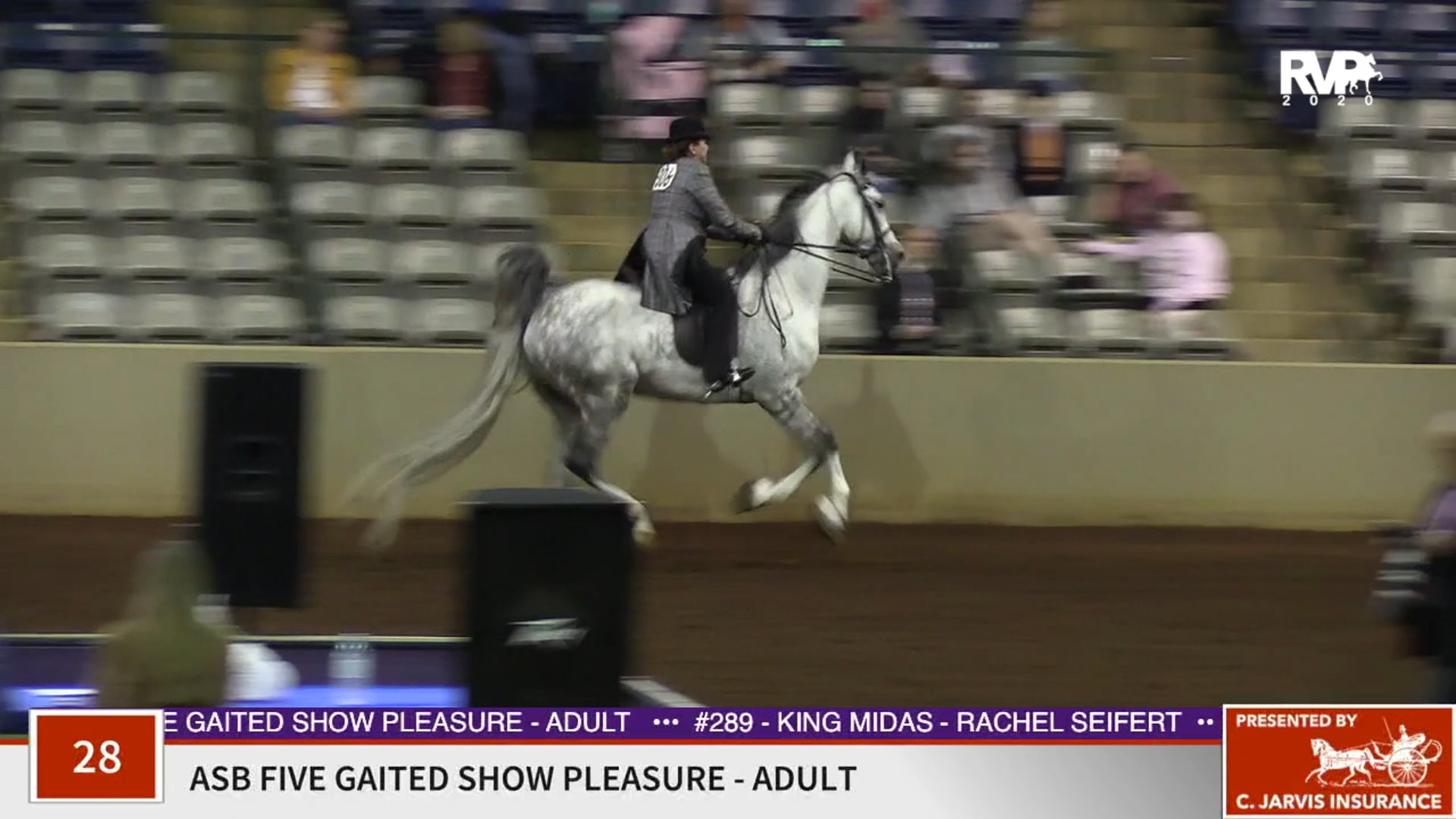 2020 SSFF - Class 28 ASB Five Gaited Show Pleasure
Adult