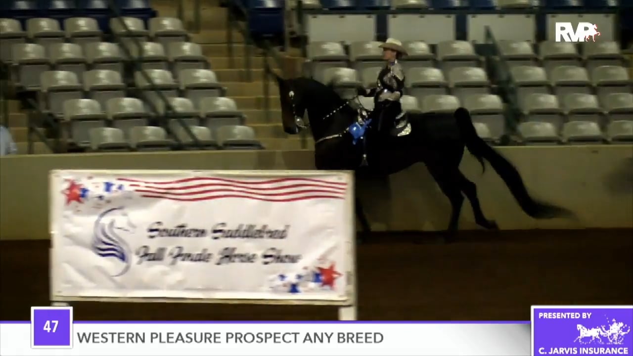 2018 Southern Saddlebred Fall Finale - Friday Evening