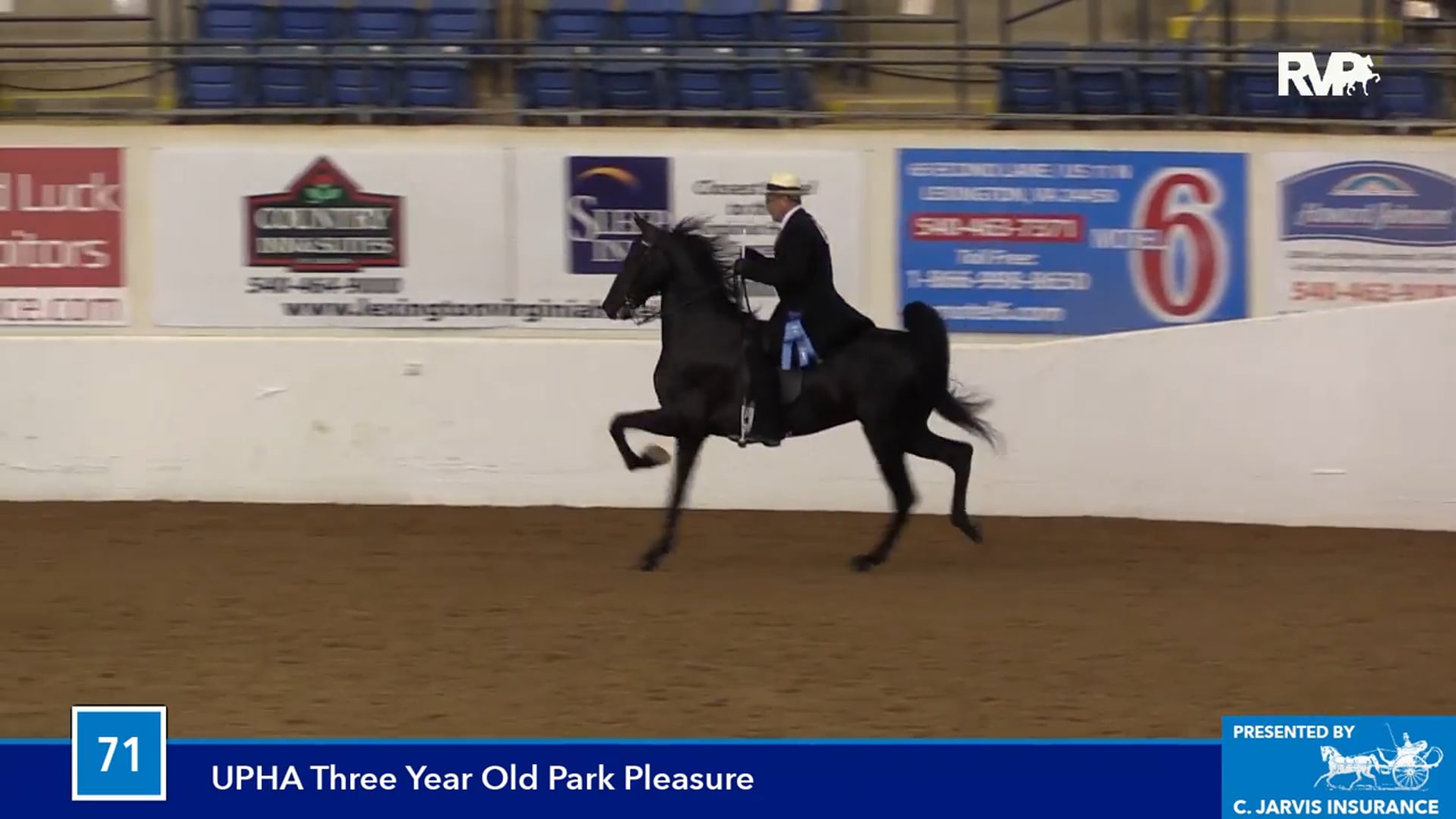 BB16 - UPHA Three Year Old Park Pleasure Classic