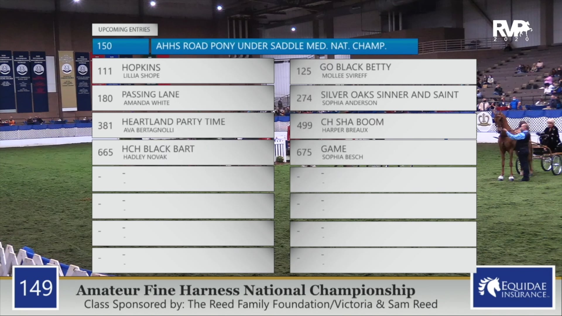 2020 AR - Class 149 Amateur Fine Harness
National Championship