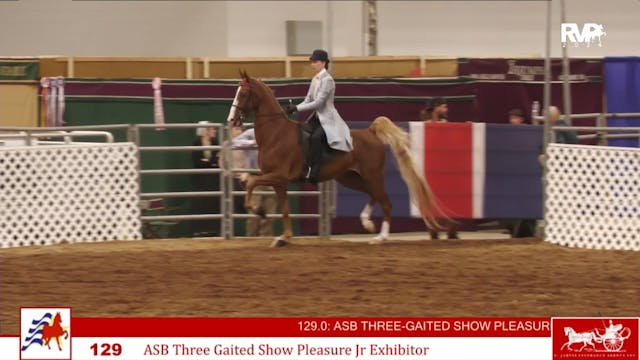 AAC24 - Class 129 - ASB Three Gaited ...