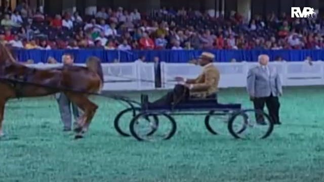 2009 World's Championship Horse Show ...