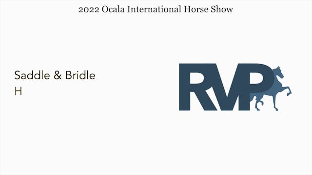 OIHS22 - Class 90 - Saddle & Bridle H...
