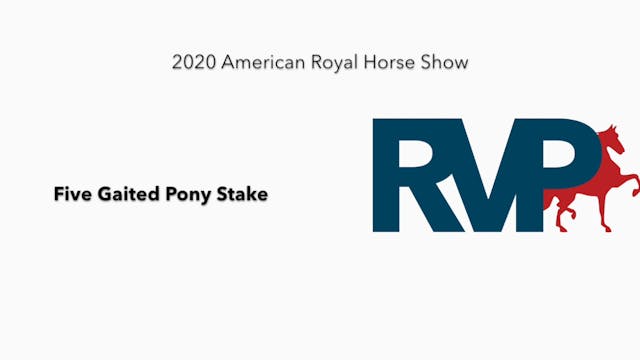 2020 AR - Class 141 Five Gaited Pony ...