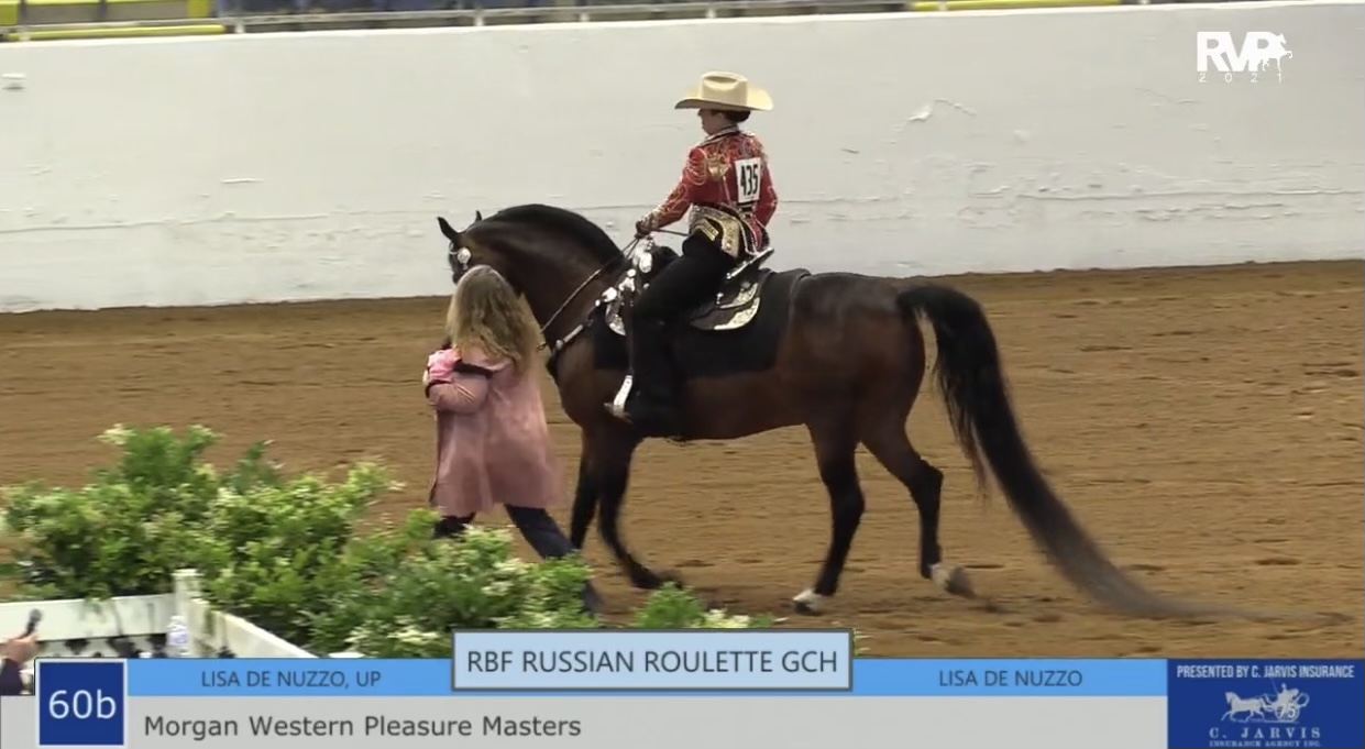 BB21 - Class 60B - Morgan Western Pleasure Masters