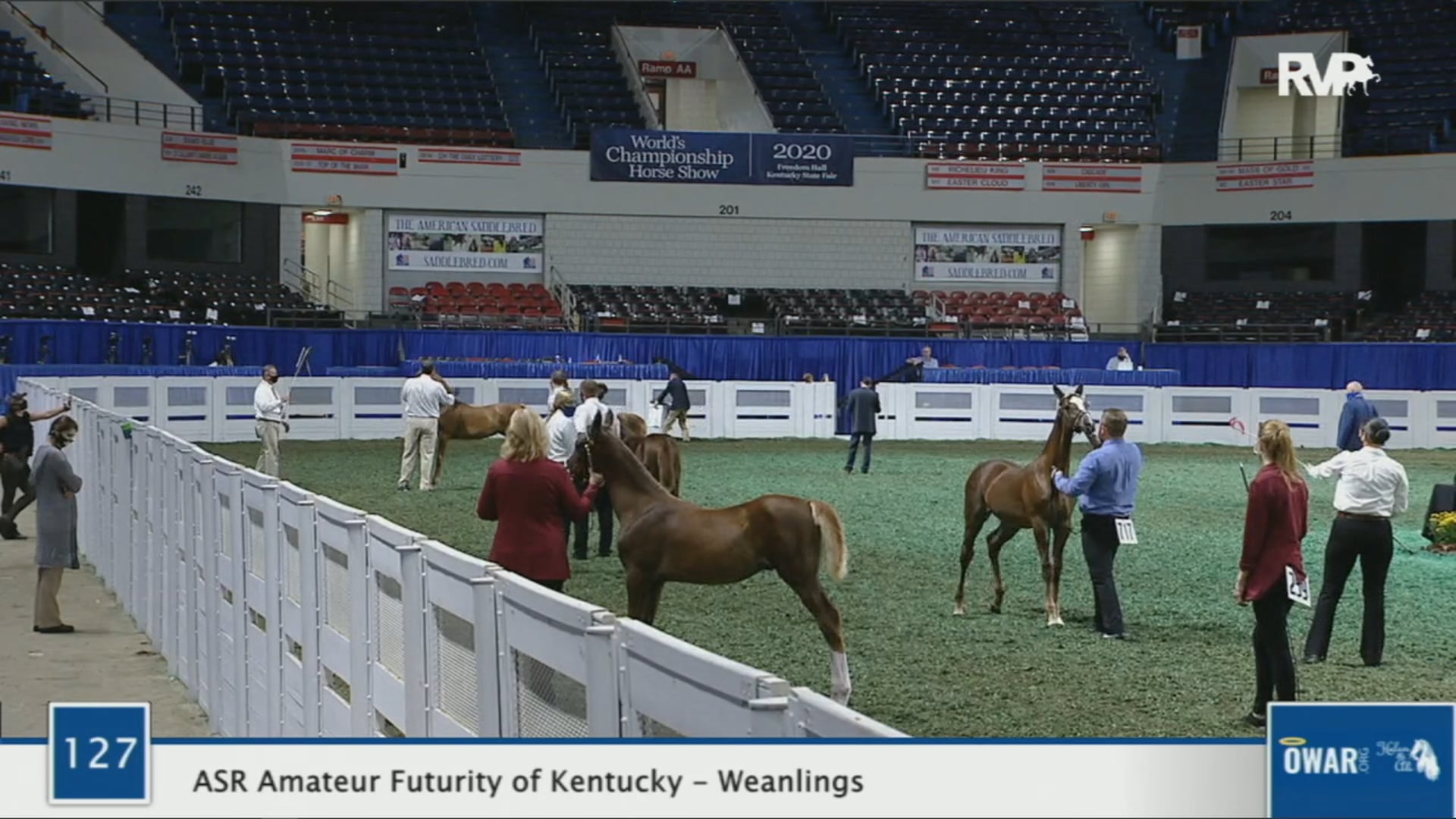 WCHS 2020 Class 127 - ASR Amateur Futurity of Kentucky - Weanlings
