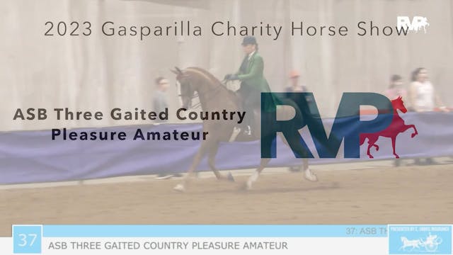 GASP23 - Class 37 - ASB Three Gaited ...