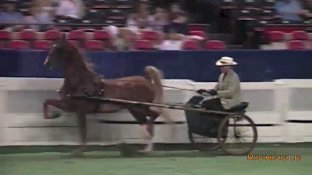 2001 WCHS - Class 68 - Adult Show Ple...