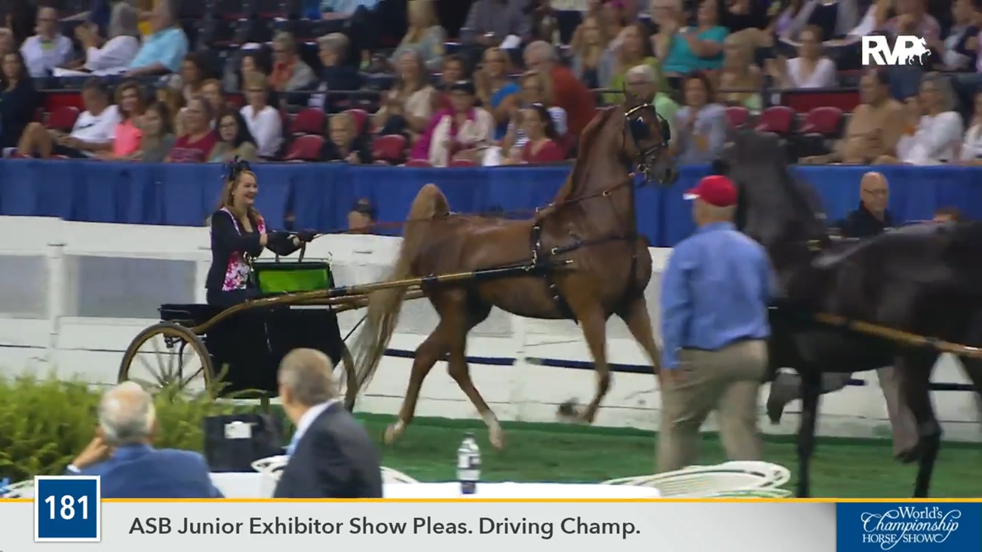 WCHS16 - Brookhill's Express Yourself - Championship