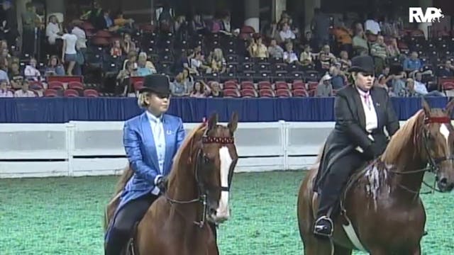 2010 World's Championship Horse Show ...