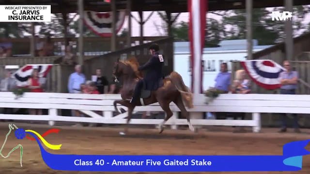 2015 SHS - Class 40 Amateur Five Gait...
