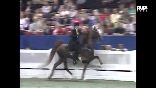 1998 WCHS - Class 60 Five Gaited Stal...