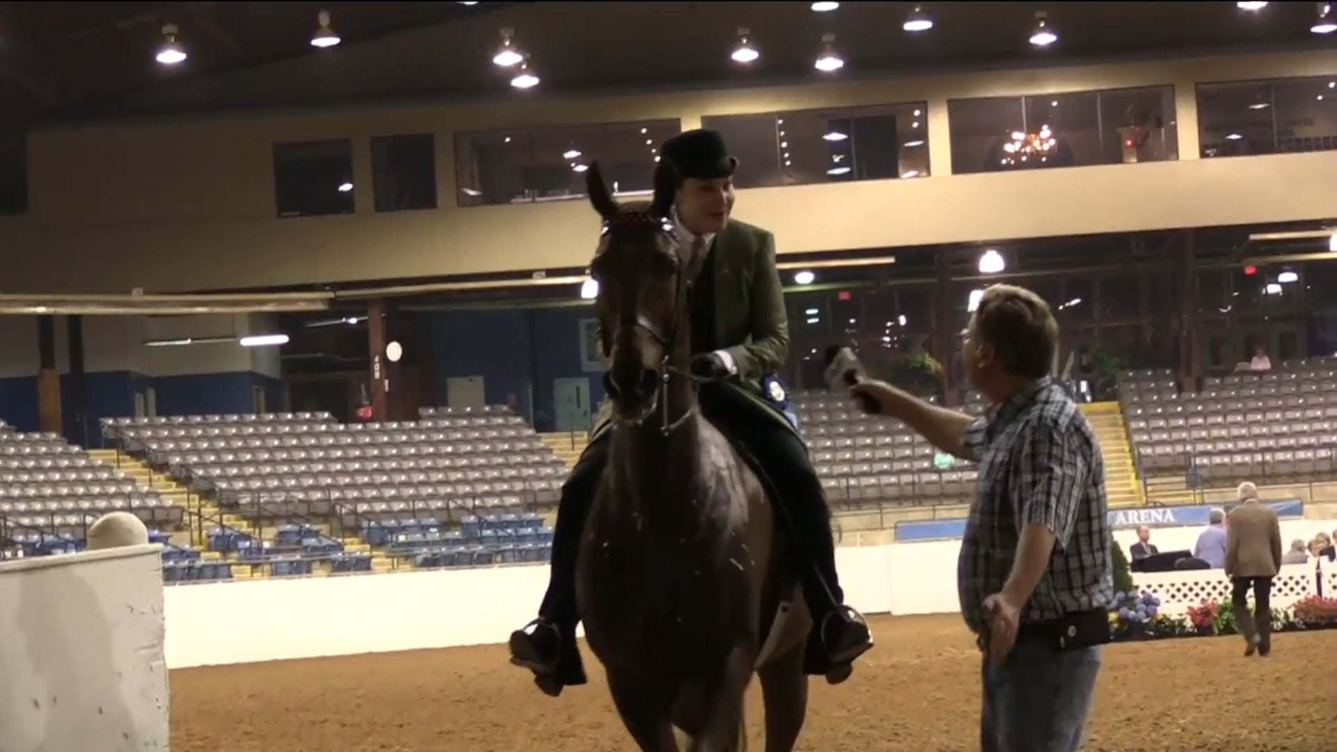 BB17 - I'm A Blues Man - Five Gaited Lady to Ride 