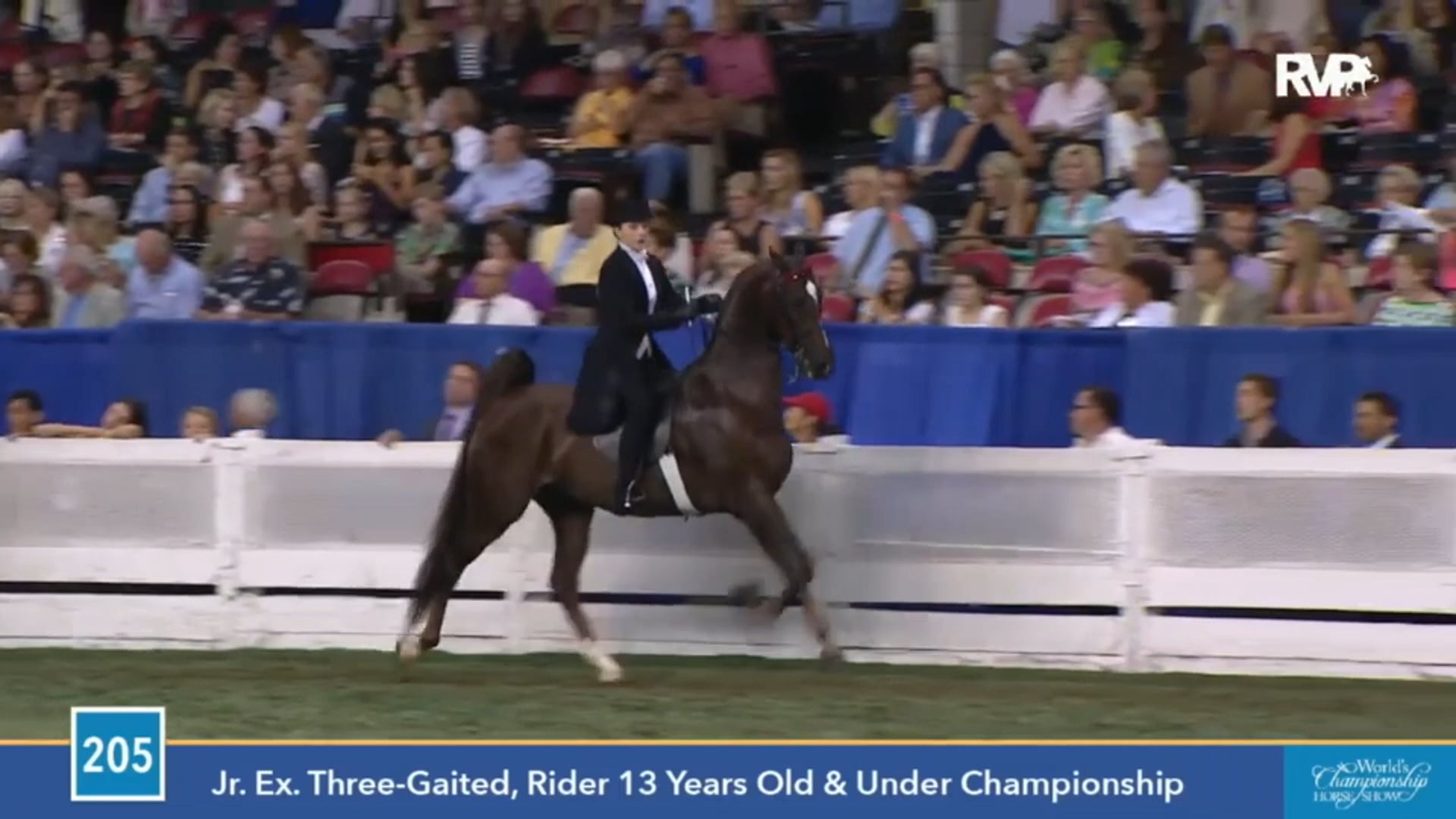 2015 WCHS - Class 205 Junior Exhibitor Three Gaited
Rider 13 & Under Championship